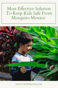 Solution to Mosquito menace