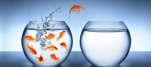 Step out of your comfort zone