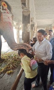 Lakshmi- the temple elephant of Hampi
