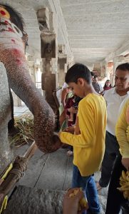 Lakshmi- the temple elephant of Hampi