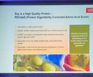 Soy Protein 