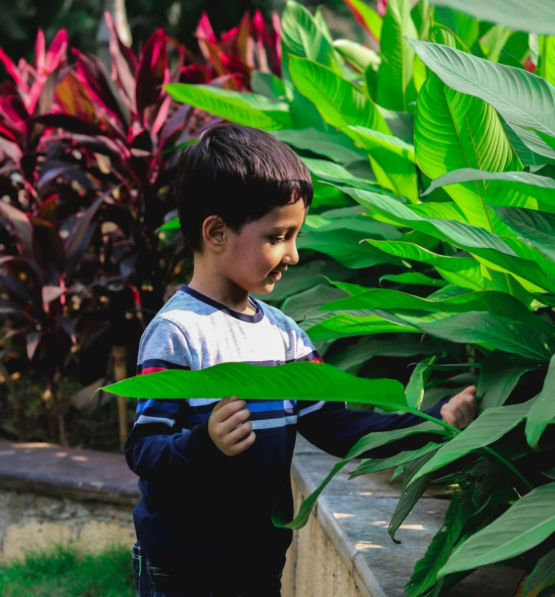 You are currently viewing Most Effective Solution To Keep Our Kids Safe From Mosquito Menace 